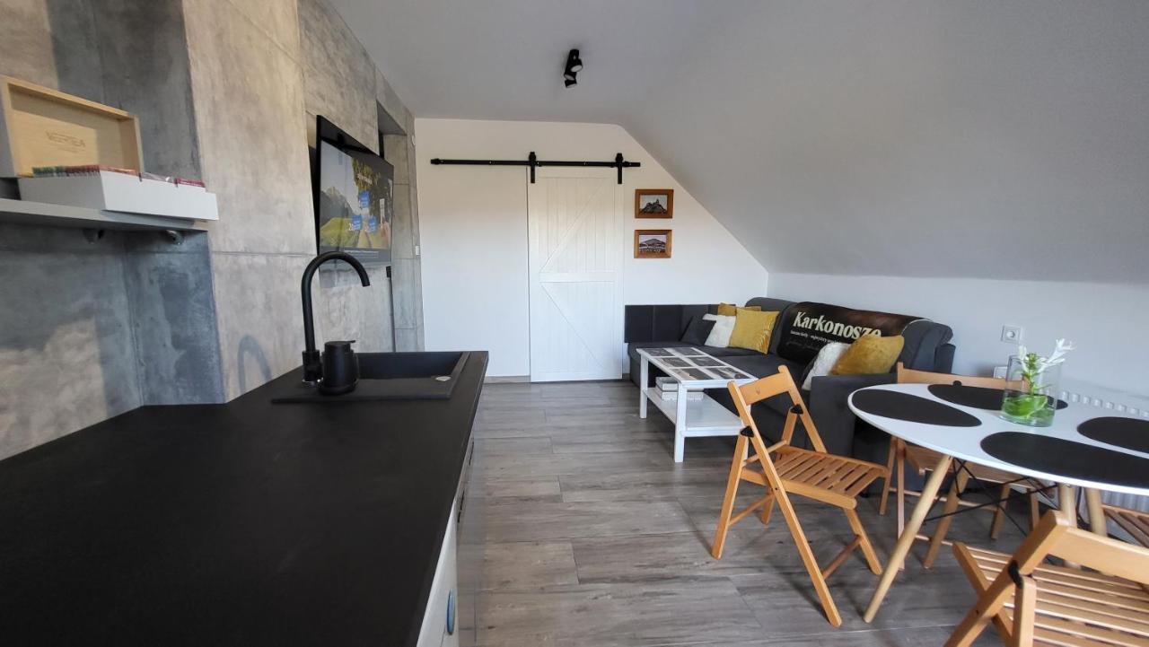 Swit - Apartament W Jezowie Sudeckim Jezow Sudecki Екстериор снимка
